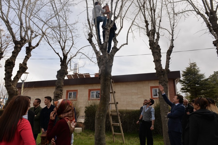 KMÜ Öğrencilerinden Kuşlara Yuva 5