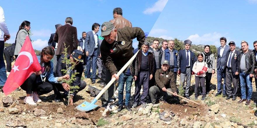 Erdemli Şehit Ve Gaziler Ormanı'na 500 Fidan Dikildi