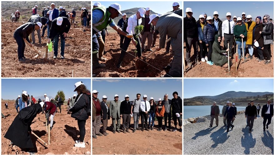 Karaman'da 30 Hektar Arazi Ağaçlandırılıyor 1