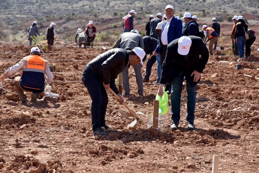 Karaman'da 30 Hektar Arazi Ağaçlandırılıyor 11
