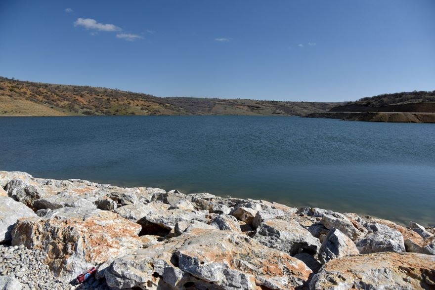 Karaman'da 30 Hektar Arazi Ağaçlandırılıyor 12