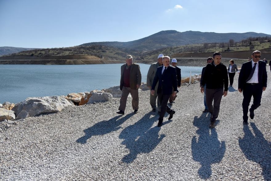 Karaman'da 30 Hektar Arazi Ağaçlandırılıyor 13