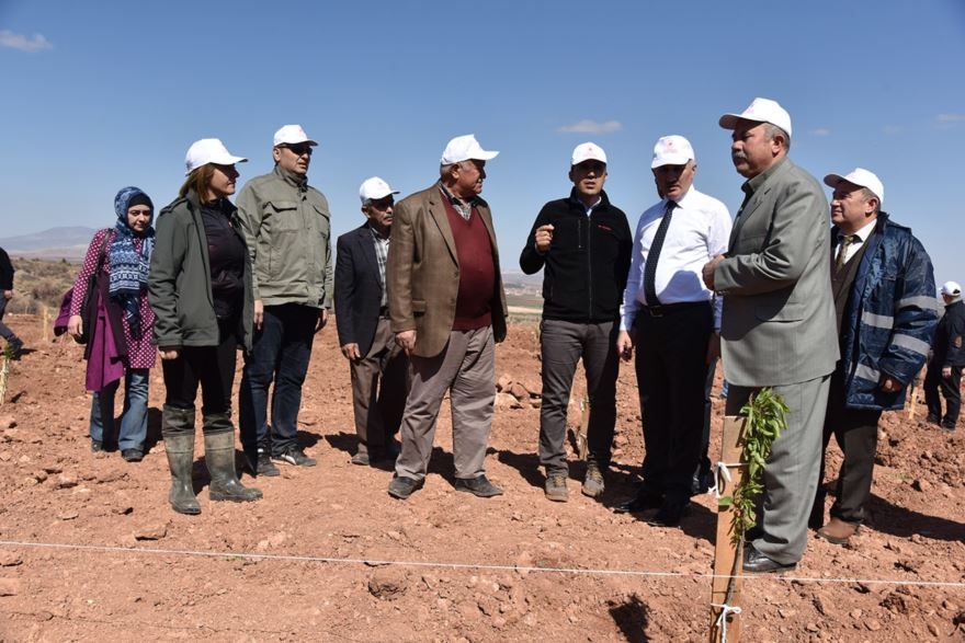 Karaman'da 30 Hektar Arazi Ağaçlandırılıyor 2