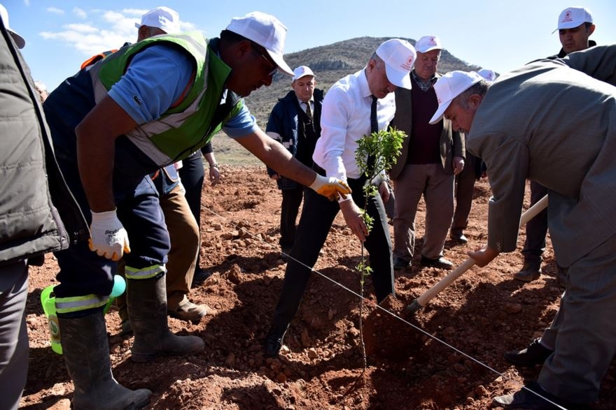 Karaman'da 30 Hektar Arazi Ağaçlandırılıyor 3