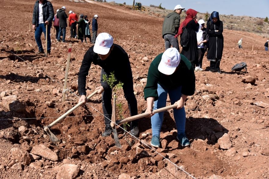 Karaman'da 30 Hektar Arazi Ağaçlandırılıyor 4