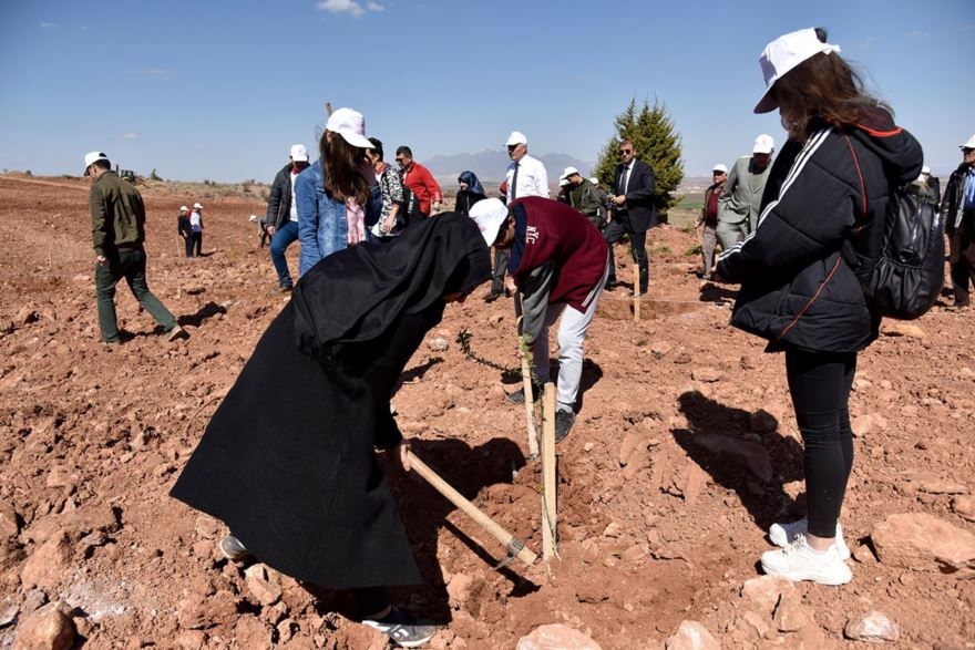 Karaman'da 30 Hektar Arazi Ağaçlandırılıyor 5