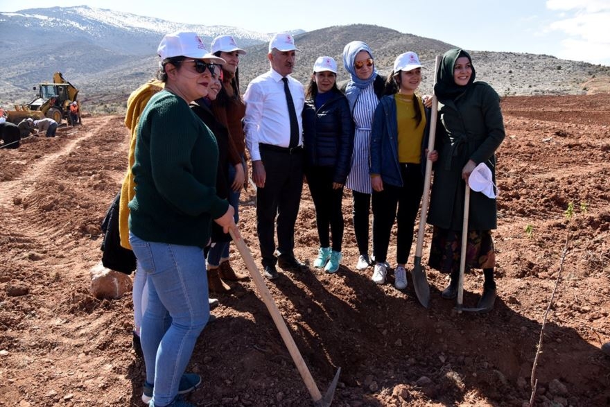 Karaman'da 30 Hektar Arazi Ağaçlandırılıyor 6