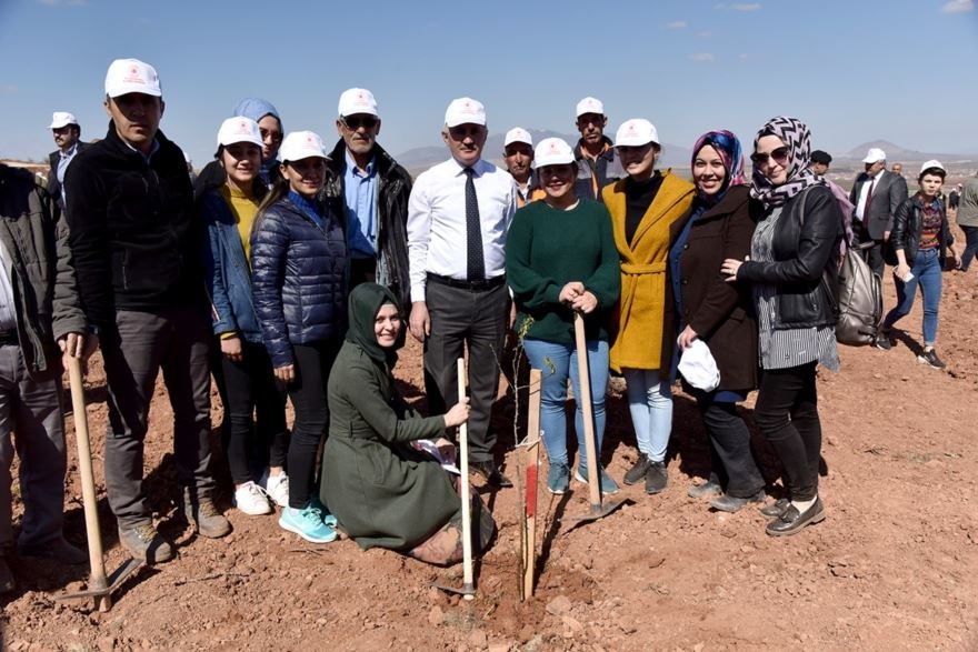 Karaman'da 30 Hektar Arazi Ağaçlandırılıyor 7