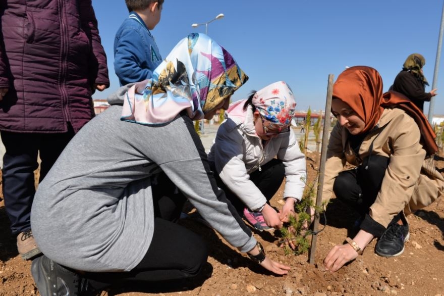 Down Sendromlu Öğrenciler Karaman'da Fidan Dikti 1