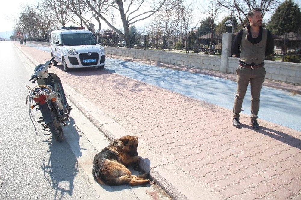 Konya'da Köpeği Motosiklete Bağlayıp Sürüklediler 6