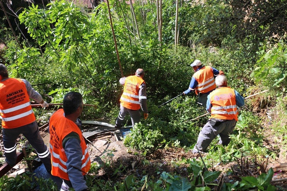 Antalya Büyükşehir’den Tarihi Surlarda Bahar Temizliği 1