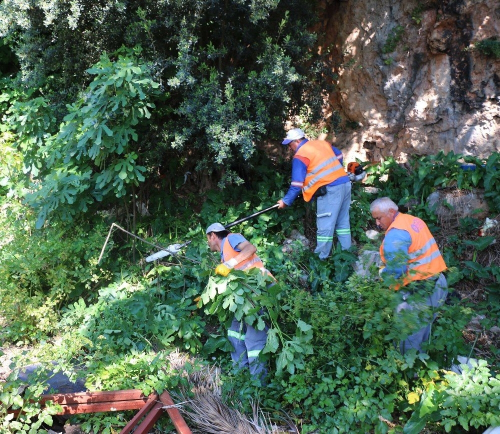 Antalya Büyükşehir’den Tarihi Surlarda Bahar Temizliği 3