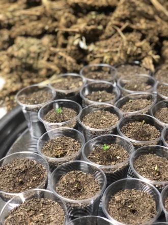 Karaman-Mut Kara Yolunda Kovalamaca Sonunda Uyuşturucu Tacirleri Yakalan 4