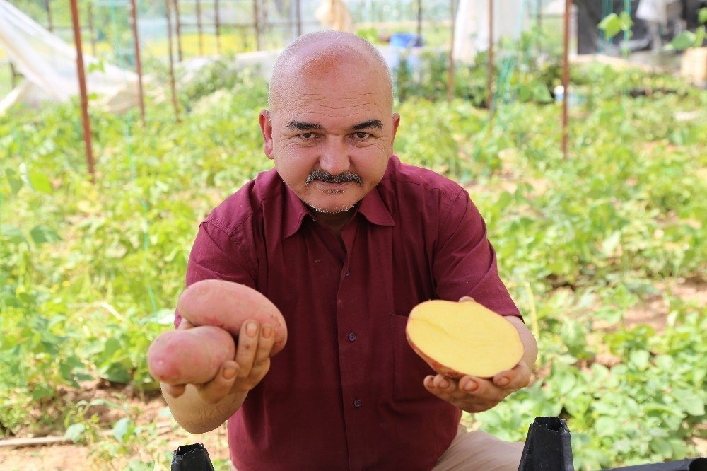 Şeker Hastası Annesi İçin Ekti, İlgiyi Üzerine Çekti 1