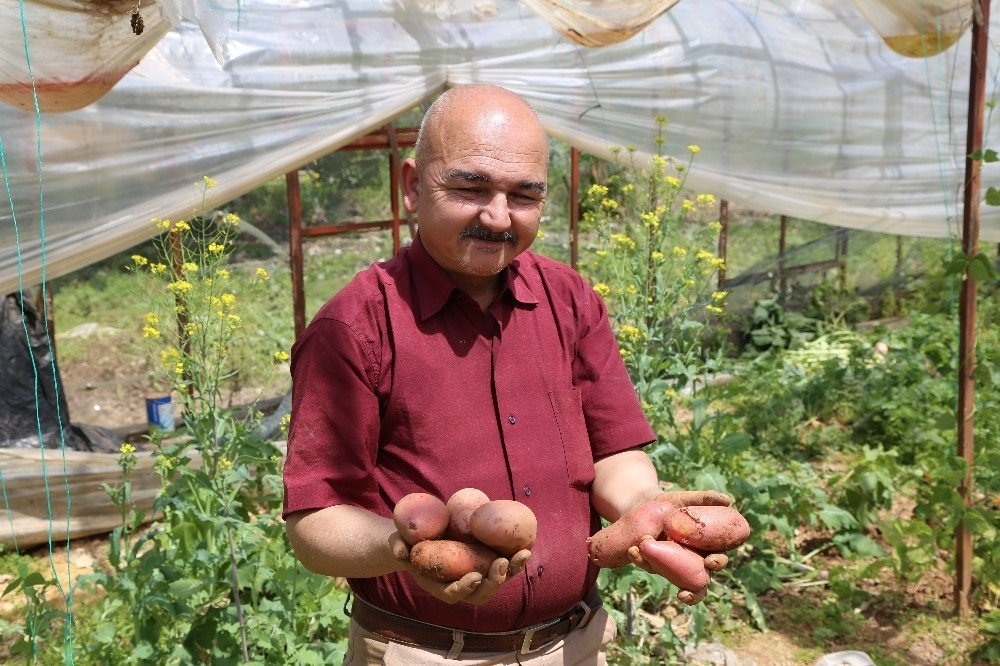 Şeker Hastası Annesi İçin Ekti, İlgiyi Üzerine Çekti 3