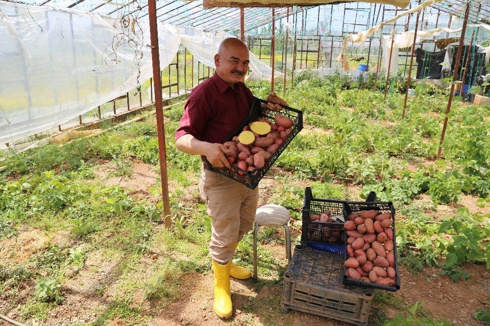 Şeker Hastası Annesi İçin Ekti, İlgiyi Üzerine Çekti 7