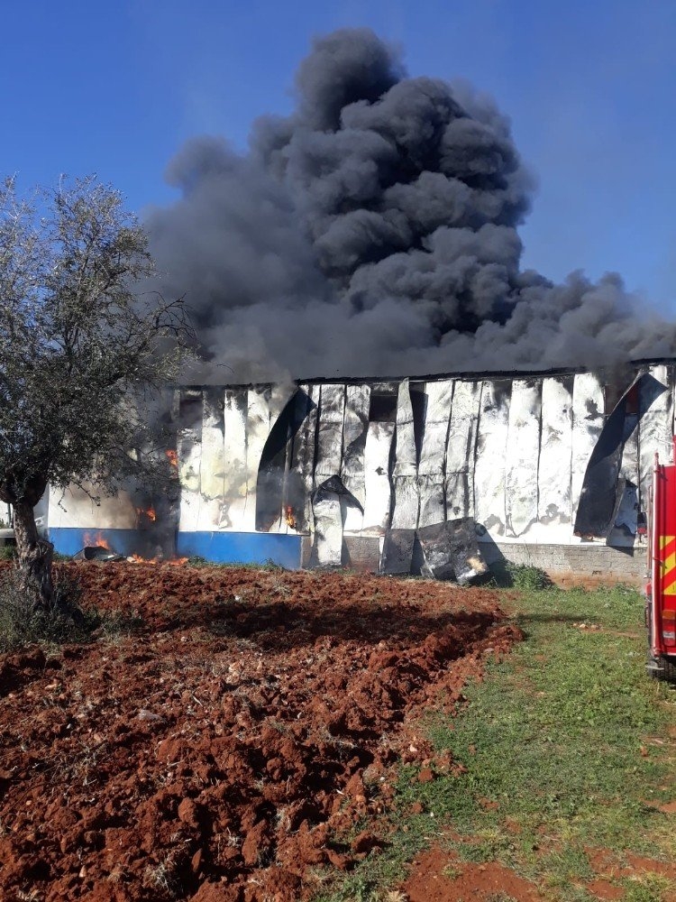 Antalya’da Fabrikada Yangın Çıktı, Sahibi Gözyaşlarını Tutamadı 17