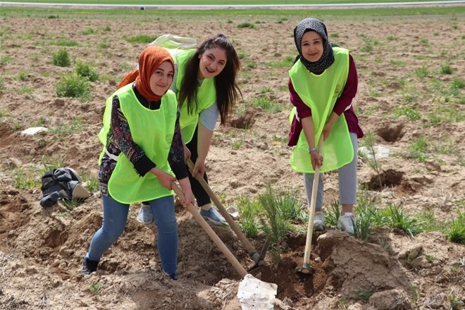 Karaman'da KYK Öğrencileri 300 Fidanı Toprakla Buluşturdu 7