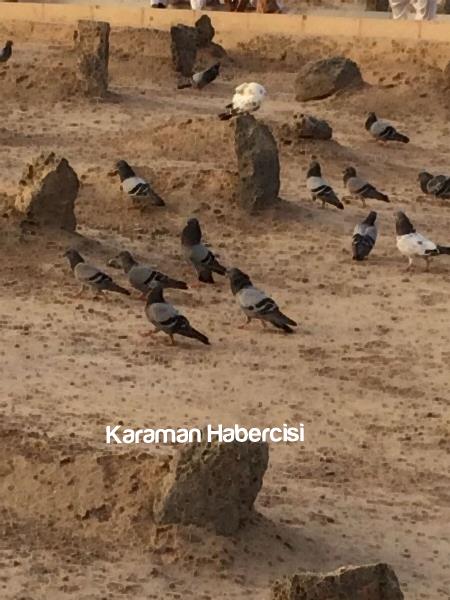 Karaman Hisar Turizm Umre Dönüşü 13