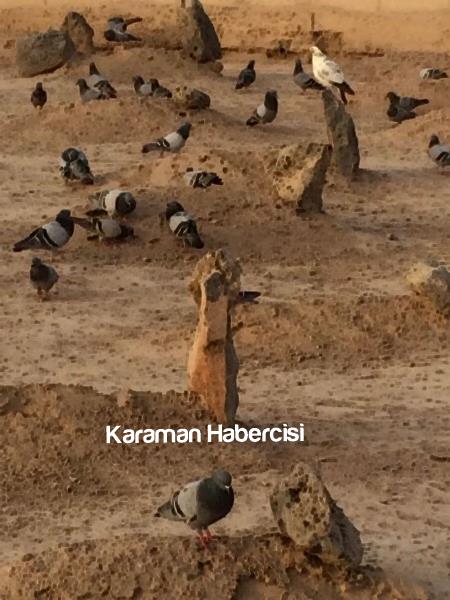 Karaman Hisar Turizm Umre Dönüşü 17