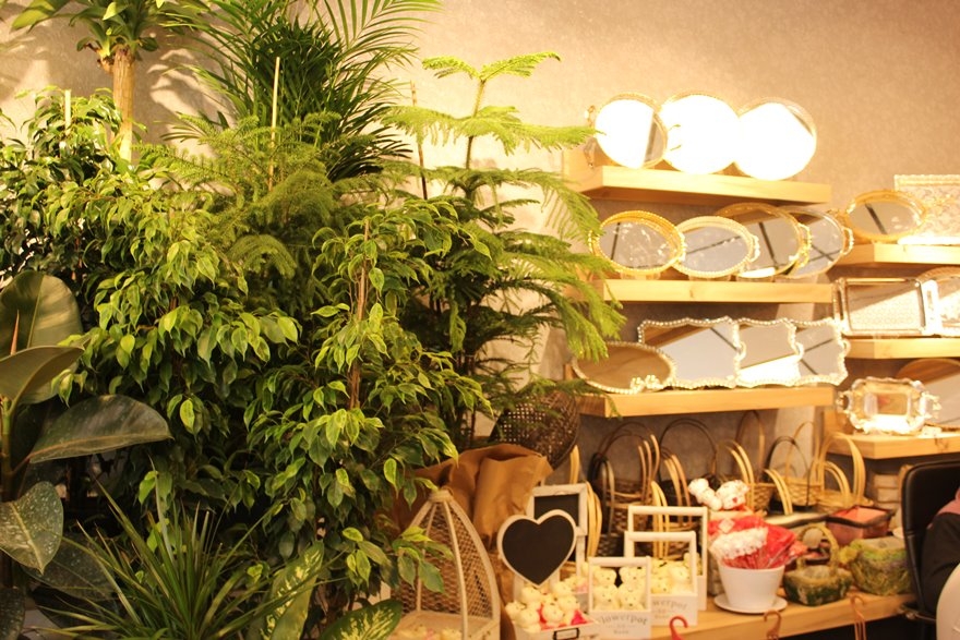 Mustafa Flowers Karaman'da Dualarla Açıldı 16