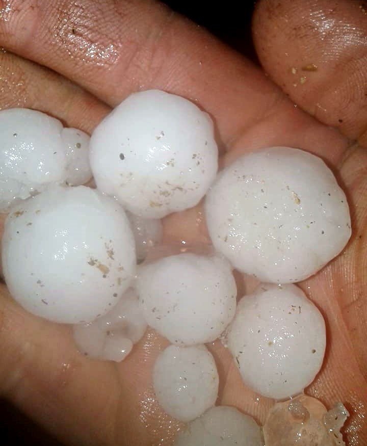 Aksaray’da Dolu Yağışı Tarım Arazilerine Zarar Verdi 4