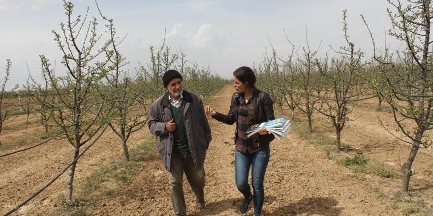 Karaman'da Merkez ve Köylerde Bahçe Kontrolü
