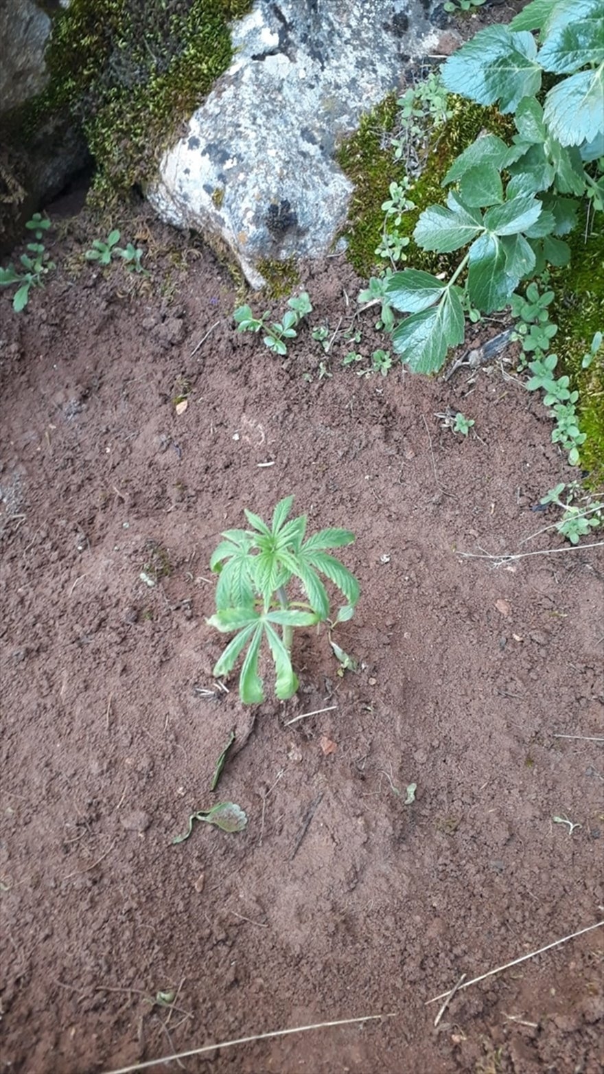 Karaman'da Hırsızlık: 2 Tutuklama 2