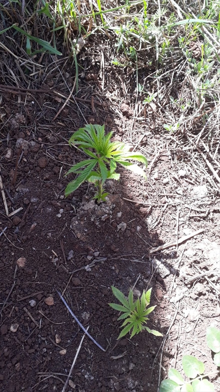 Karaman'da Hırsızlık: 2 Tutuklama 4