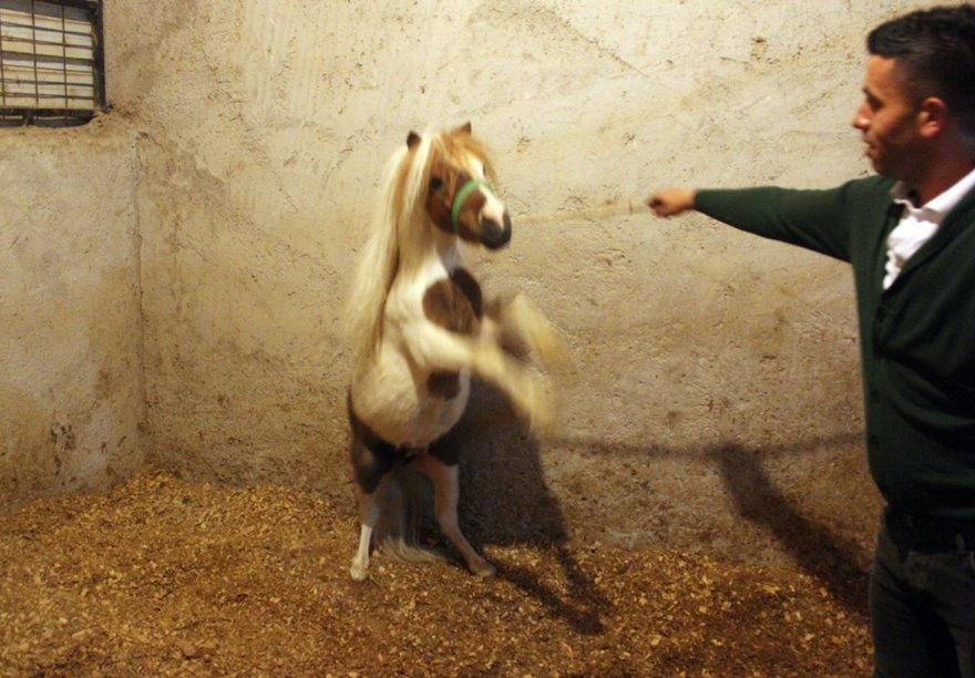 Karaman'da Basın Mensupları İftarı Birlikte Açtı 12