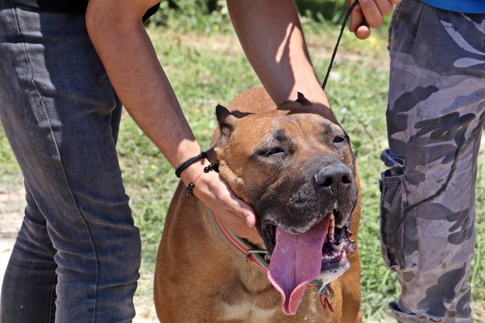 Oruçlu İtfaiye Erlerinin Alevlerle Mücadelesi 14