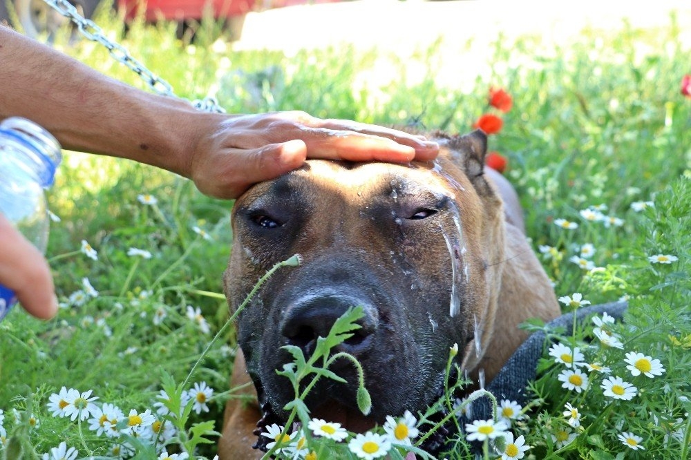 Oruçlu İtfaiye Erlerinin Alevlerle Mücadelesi 19
