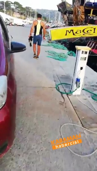 Antalya'da Kargaları Öldürdüler 5