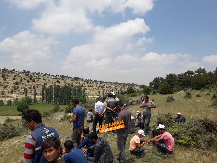 Laleliler Kesilen Ağaçlara Tepki Gösterdiler 1