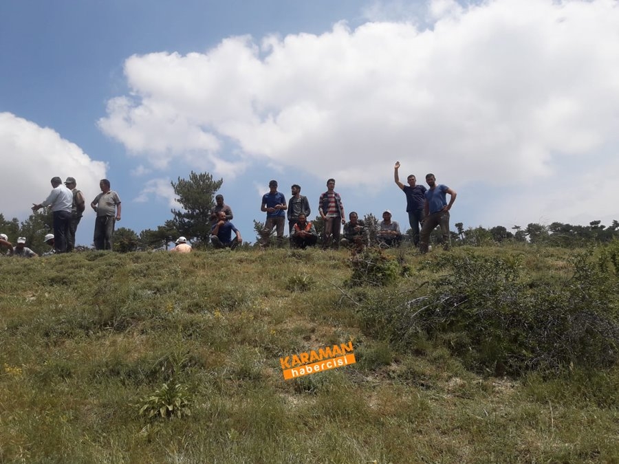 Laleliler Kesilen Ağaçlara Tepki Gösterdiler 11