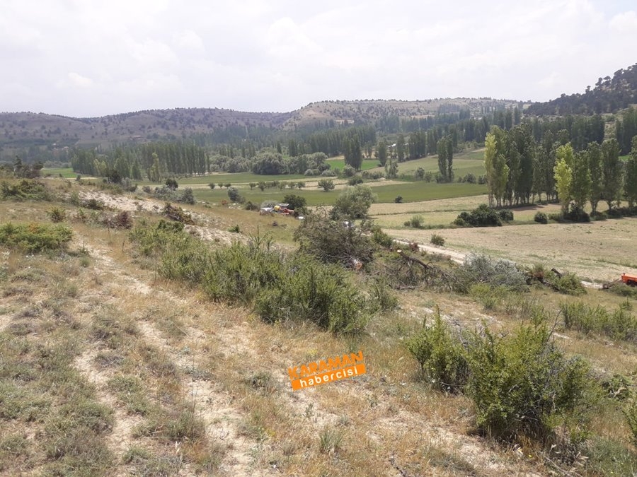 Laleliler Kesilen Ağaçlara Tepki Gösterdiler 5