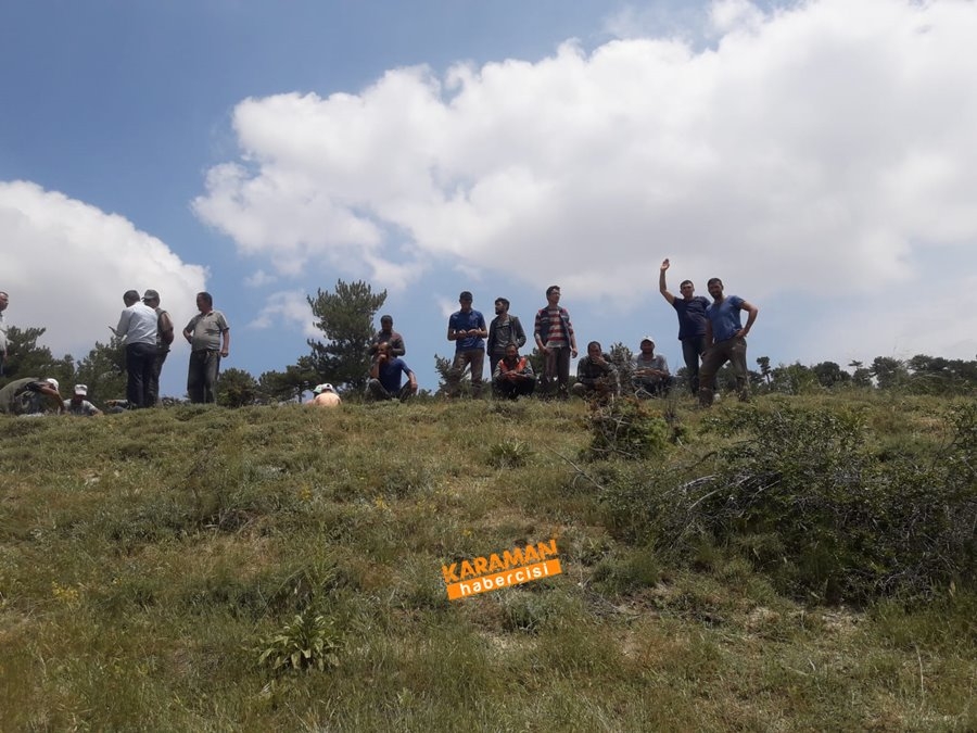 Laleliler Kesilen Ağaçlara Tepki Gösterdiler 7