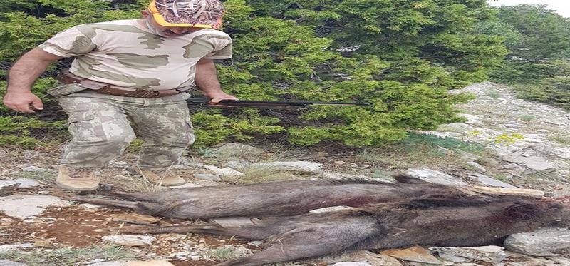 Karaman Özdemir'de Sürek Avı 9