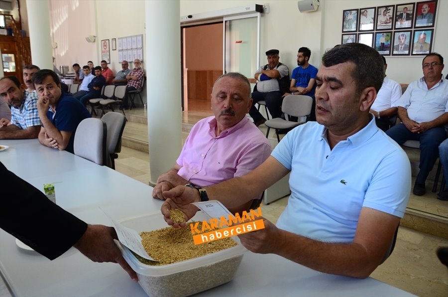 Karaman'da Hububat Alımları 3