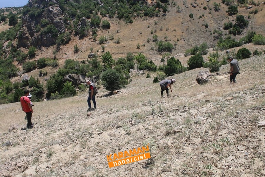 Dünyada Sadece Karaman'da Yetişiyor 3