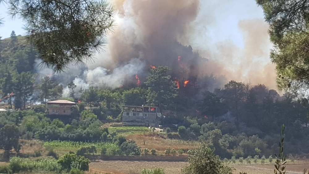 Antalya Manavgat Orman Yangını 2