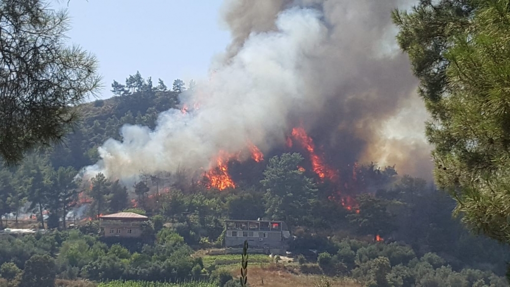 Antalya Manavgat Orman Yangını 5