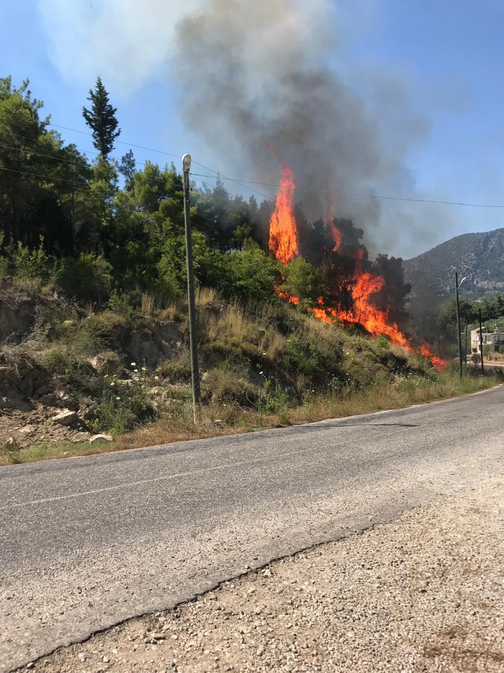 Antalya Manavgat Orman Yangını 6