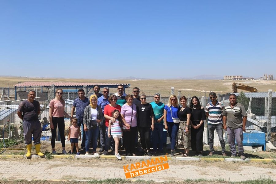 Karaman Hayvan Barınağı 11