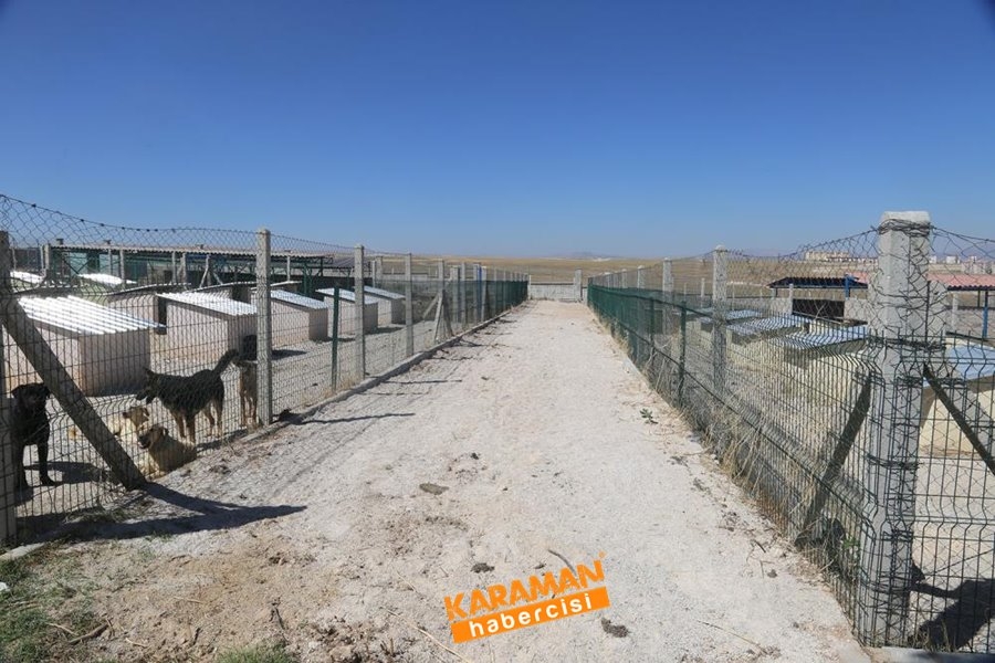 Karaman Hayvan Barınağı 2