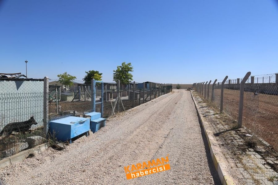 Karaman Hayvan Barınağı 3