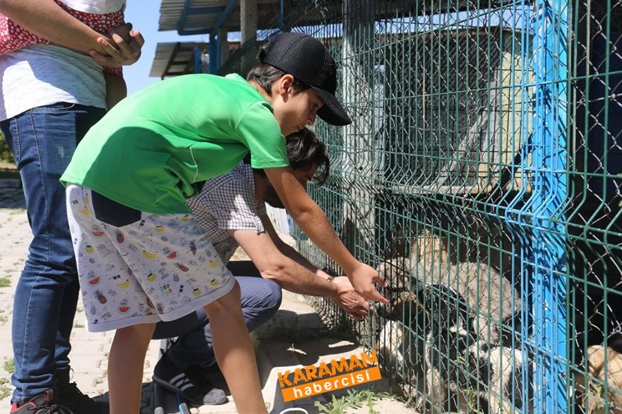 Karaman Hayvan Barınağı 4