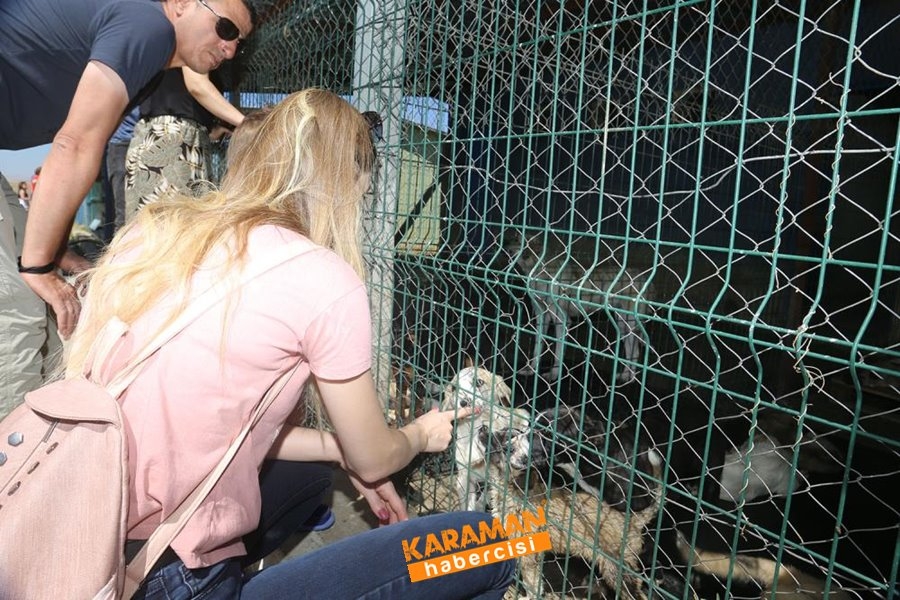 Karaman Hayvan Barınağı 6