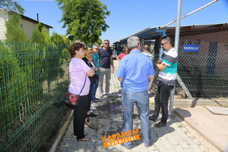 Karaman Hayvan Barınağı 9