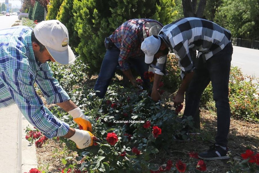 Karaman'da Park Bahçe Çalışmaları 3